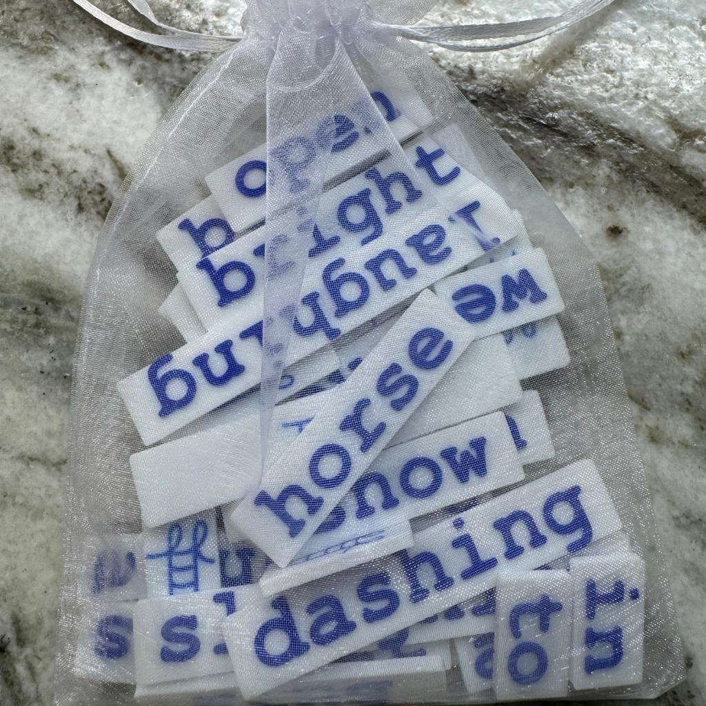 A Sleigh Ride Word Block Set