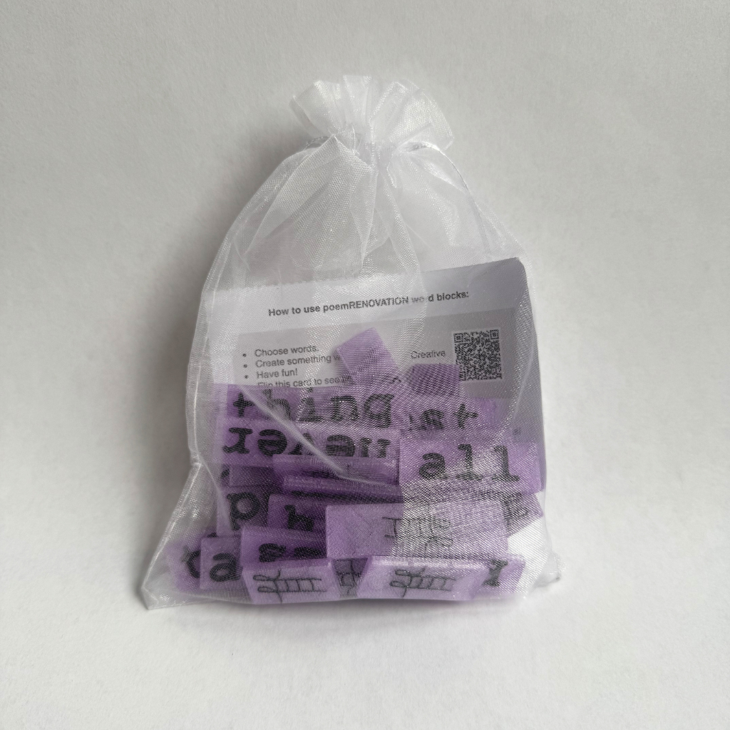 New! What Shines Series - The Thing With Feathers Word Block Set - Image 2