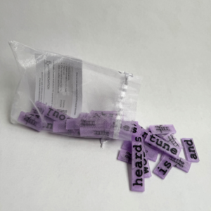 New! What Shines Series - The Thing With Feathers Word Block Set