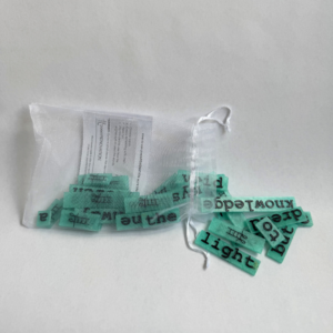 New! What Shines Series - What Lights the Path