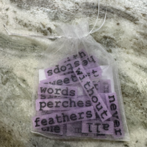 New! What Shines Series - The Thing With Feathers Word Block Set